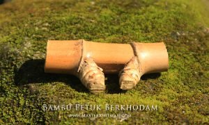 bambu petuk berkhodam , cara menggunakan bambu petuk