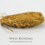 wesi kuning perlindungan