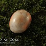 batu mustika khodam aji soko