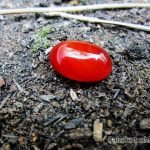 batu bertuah master khilman