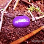 batu bertuah master khilman