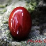 batu mustika ratu kinasih master khilman